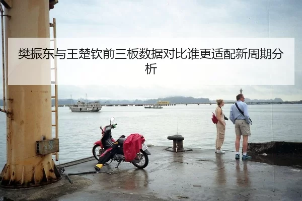 樊振东与王楚钦前三板数据对比谁更适配新周期分析