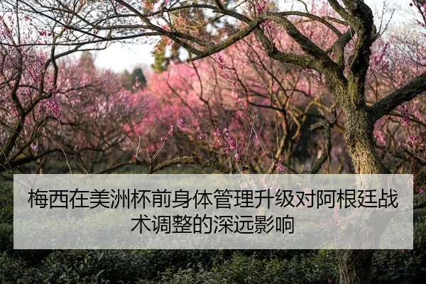 梅西在美洲杯前身体管理升级对阿根廷战术调整的深远影响