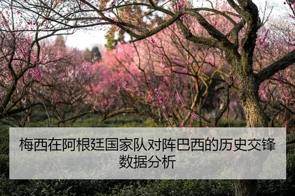 梅西在阿根廷国家队对阵巴西的历史交锋数据分析