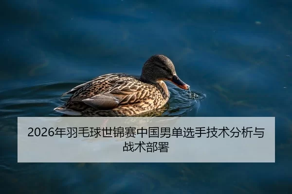 2026年羽毛球世锦赛中国男单选手技术分析与战术部署