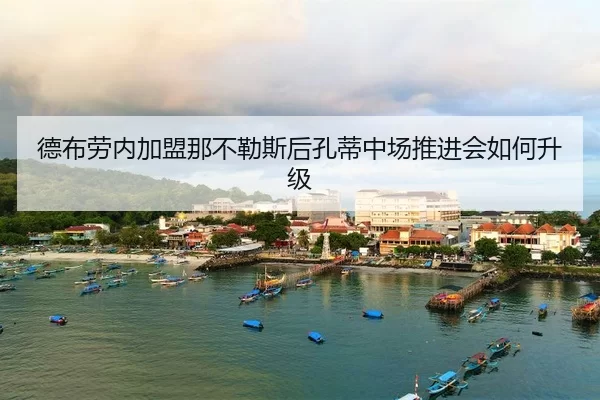 de-bu-lao-nei-jia-meng-na-bu-le-si-hou-kong-di-zhong-chang-tui-jin-hui-ru-he-sheng-ji-2-118.jpg